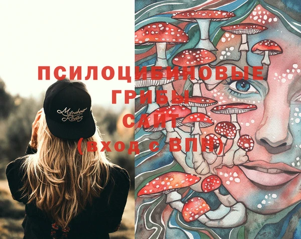 кокс Алзамай