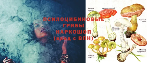 спиды Покачи